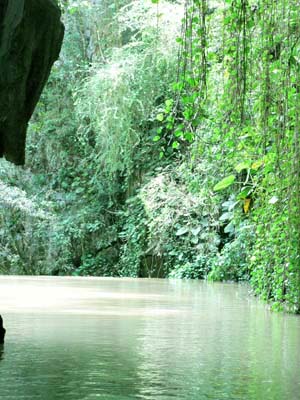 Grotte à Cuba